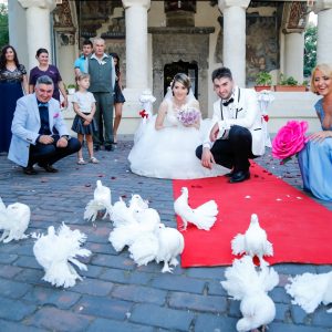 Servicii Foto - Video